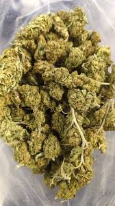 Triple OG Strain - Image 3