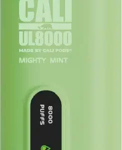 Cali UL8000 Disposable – Mighty Mint