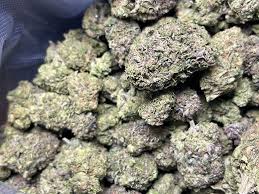 blue zlushie strain - Image 2