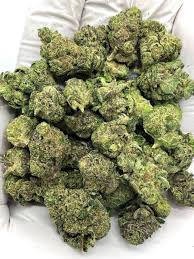 blue zlushie strain - Image 4