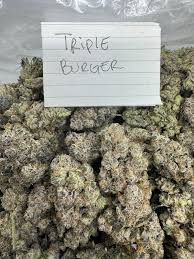Triple Burger Strain - Image 3