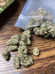 Triple Burger Strain - Image 2