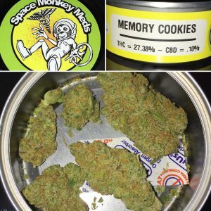 memory loss strain