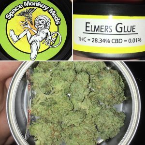 elmer’s glue strain