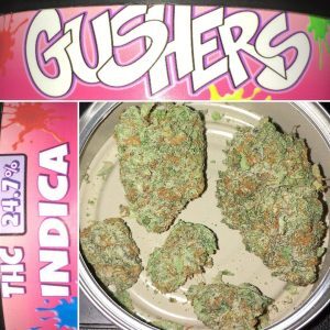 gushers strain