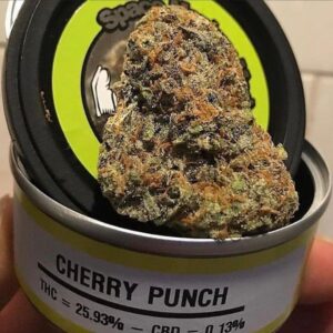cherry punch Strain