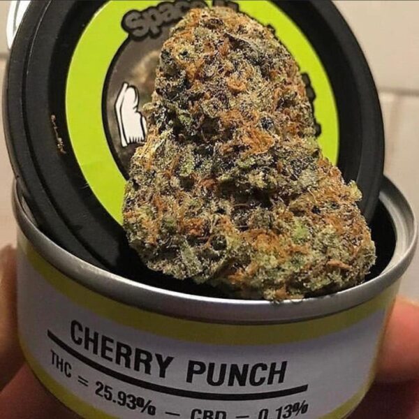 cherry punch Strain